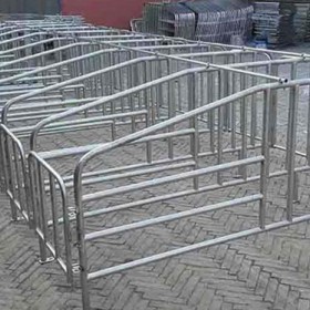 北京猪用定位栏定制_沧州万晟畜牧设备订做热镀锌管限位栏