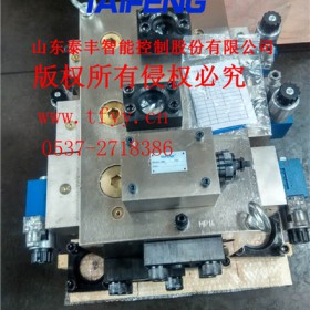 泰丰YN32-315HXCV标准315T系统主系统DG25