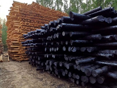 油木杆 油炸杆 油木电线杆 防腐油木杆 通信电力油木杆松木杆