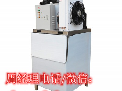 上海200公斤片冰机
