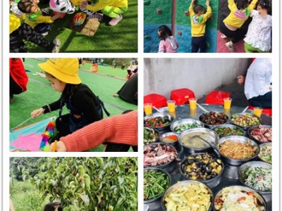 被问N遍的武汉家庭出游活动现场图上线了宝妈看了都震惊