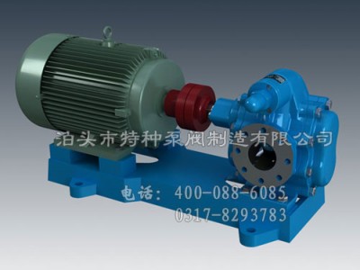海南不锈钢齿轮油泵生产_泊头特种泵