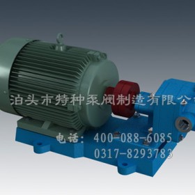 北京不锈钢齿轮油泵订制生产|泊头特种泵厂价批发摆线内齿泵