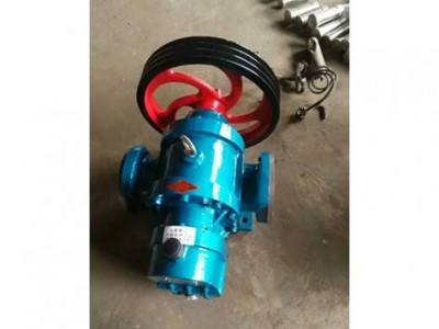北京高粘度泵厂家_世奇泵业_订购LC高粘度罗茨泵