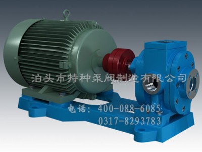 黑龙江不锈钢齿轮泵定制加工~泊头特种泵-可调压式齿轮油泵