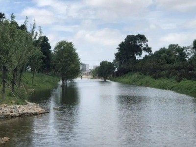 供应浙江杭州河道除臭剂、宁波河道