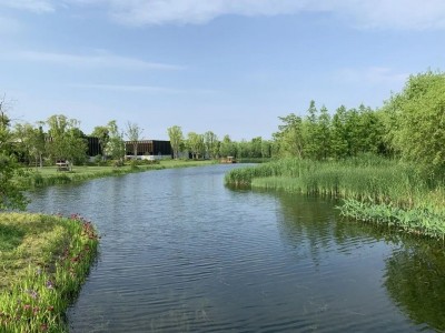 供应浙江杭州河道水质提升服务、宁波河道水质提升服务