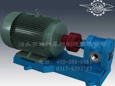 上海不锈钢齿轮泵生产/泊头特种泵阀