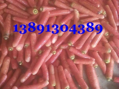 陕西红萝卜批发，红萝卜价格，胡萝卜产地，红萝卜产地
