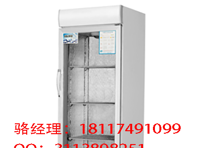 银都商用大型冰箱/商超冷柜/饮料冷