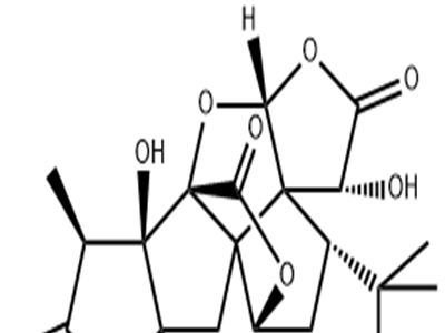 银杏内酯B CAS:15291-77-7