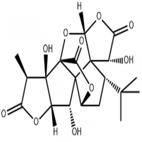 银杏内酯B CAS:15291-77-7