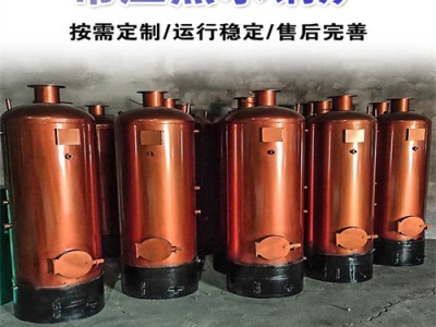 常压锅炉 全自动沼气锅炉 气煤两用常压热水锅炉 供暖锅炉