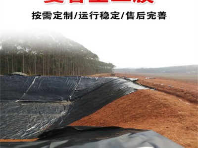 复合土工膜  鱼塘土工膜 黑膜土工布