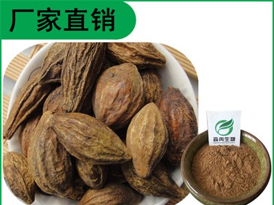 森冉生物 诃子提取物 诃子浓缩粉 植物提取原料粉