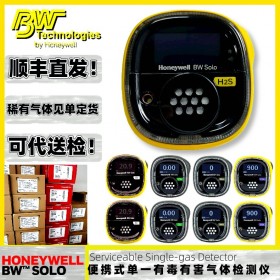 BW SOLO-Lite BWS2-M-Y硫化氢气体检测仪