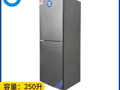 英鹏防爆冰箱-双门双温250L-BL-2002
