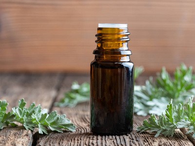 西安芬芳佳人 艾叶精油 单方精油 天然艾草通经络祛湿刮痧