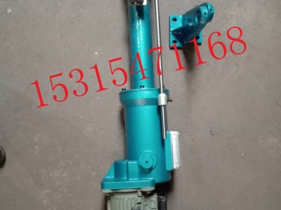 电动推杆 DTZ300电动推杆