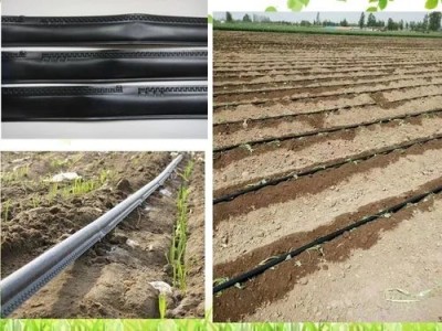 绿化工程滴灌带、棉花滴灌带生产厂家、河北果肉多农业