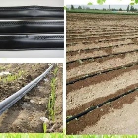 绿化工程滴灌带、棉花滴灌带生产厂家、河北果肉多农业