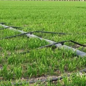 露天种植灌溉滴灌带生产厂家、河北果肉多农业