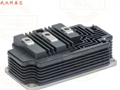ABB IGBT模块5SNG 0250P330305