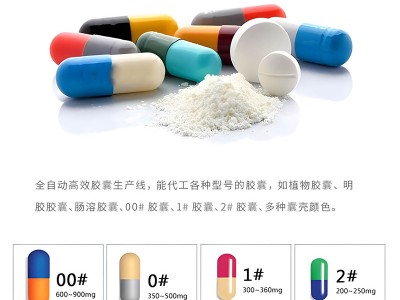 10硬胶囊