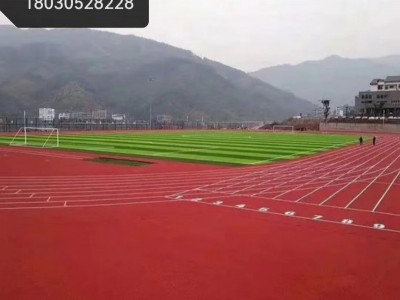 南充市操场足球场假草坪 眉山市操场