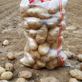 土豆编织袋生产厂家、洋葱编织袋河北任丘生产厂家