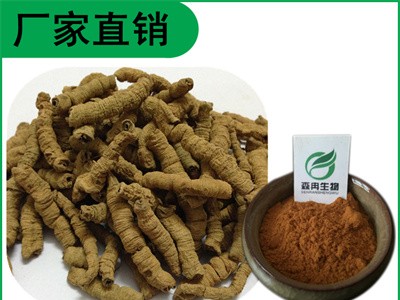 森冉生物 巴戟天提取物 鸡肠风提取