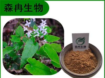 森冉生物 淫羊藿提取物 洋火叶提取