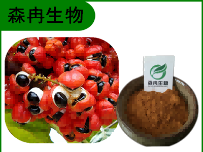 森冉生物 瓜拉那提取物 瓜纳拉提取