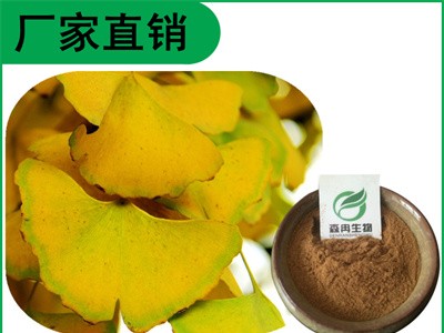 森冉生物 银杏叶提取物 白果树叶提