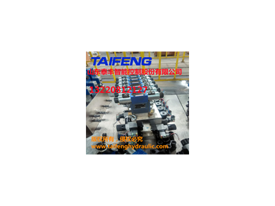 ​泰丰供应标准100T主缸系统YN32-100FBCV
