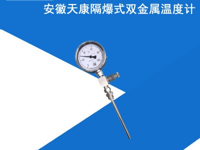 隔爆式双金属温度计天康股份