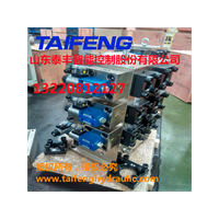 山东泰丰研发生产各种二通插装阀厂家直销