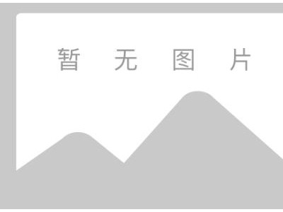 BUCHI快速溶剂萃取仪