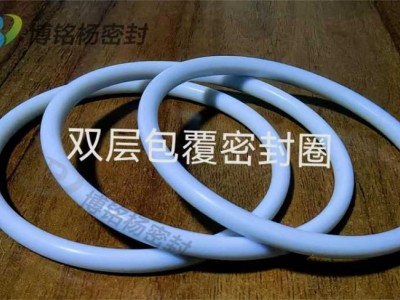 双层PTFE包覆圈矩形超大型包覆圈PFA