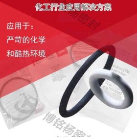 杜邦FFKM/FFPM密封圈超洁净度和抗爆性