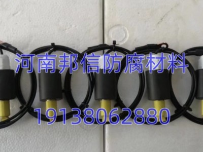 燃气管道电位测量极化试片免费技术