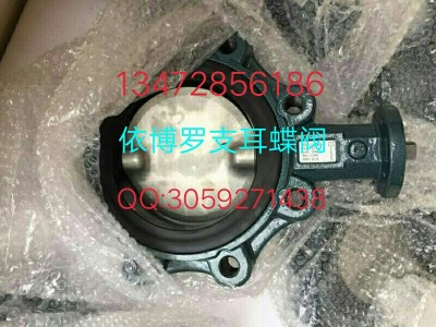 保证原装德国EBRO支耳式蝶阀Z014-A