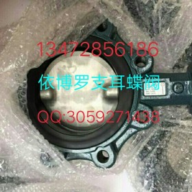 保证原装德国EBRO支耳式蝶阀Z014-A