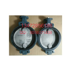 现货应该德国依搏罗蝶阀Z011-A DN350