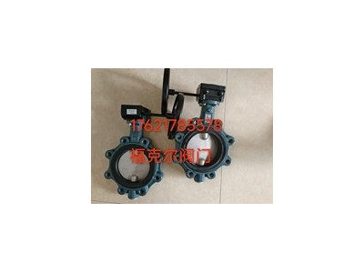 原装依博罗Z014-A型EBRO支耳式蝶阀