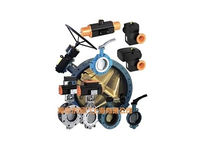 保证德国依博罗EBRO支耳式涡轮蝶阀Z014-A