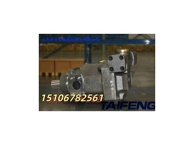 TFB1V63S/1X-LRB2-K柱塞泵