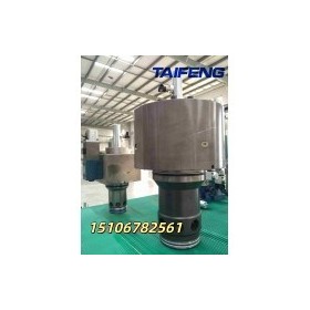 供应泰丰双主动比例节流阀