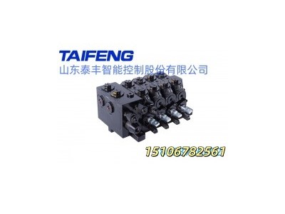 山东泰丰供应TRM10-BH-09-TF-01多路阀