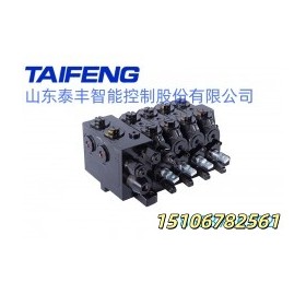 山东泰丰供应TRM10-BH-09-TF-01多路阀